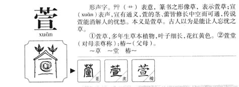 萱的意思名字